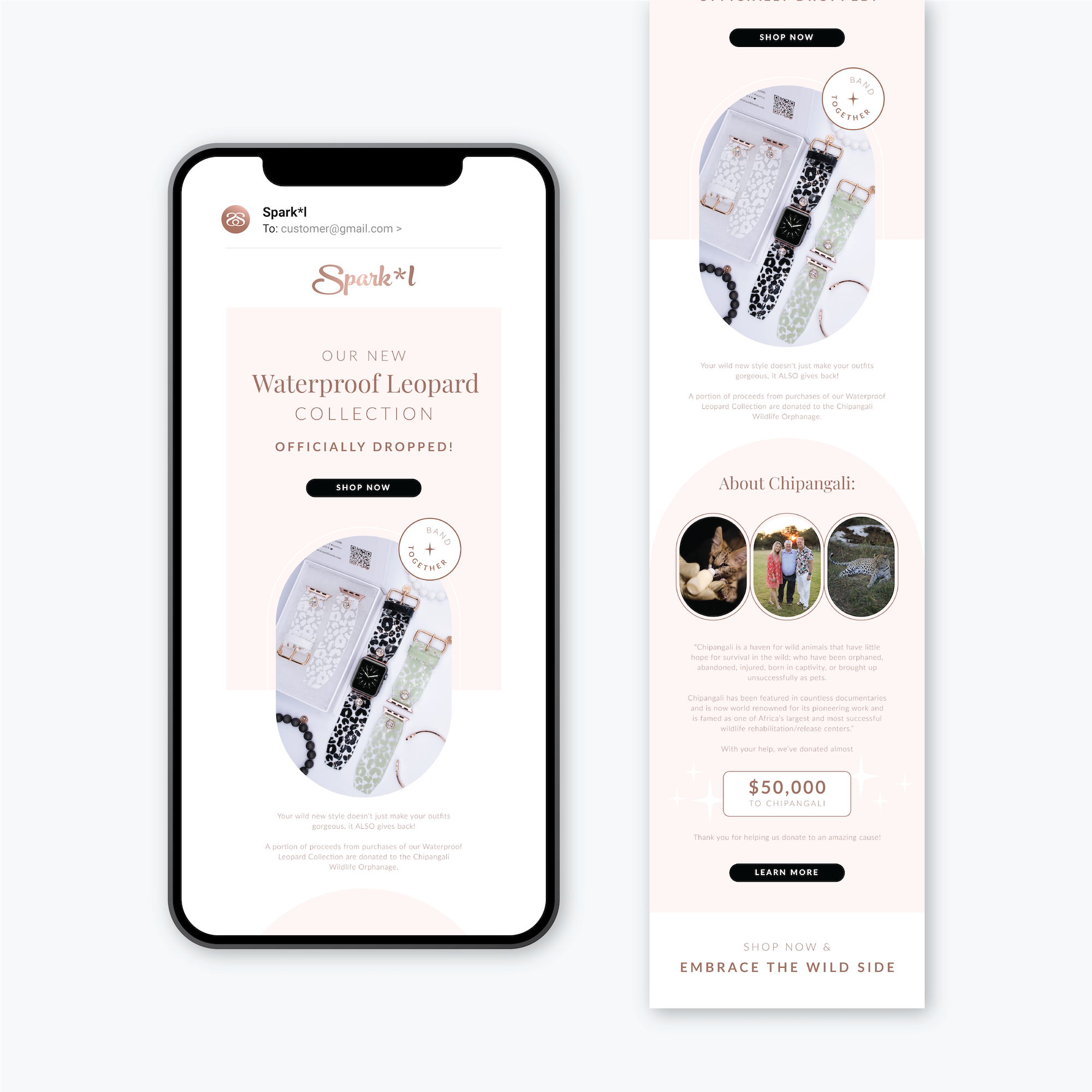 Chipangali Newsletter