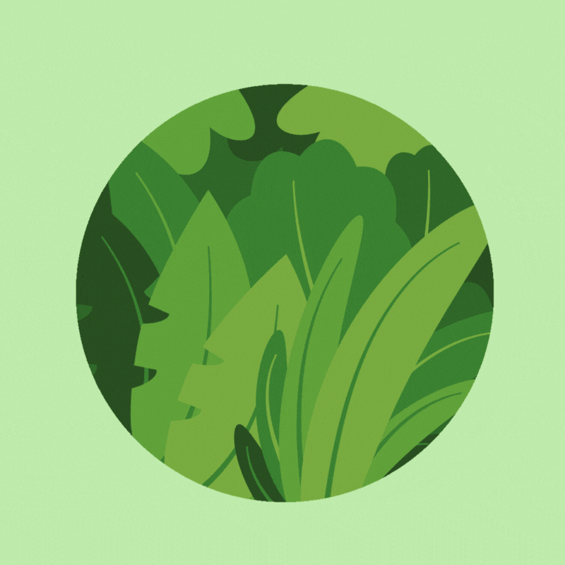 Spark*l Safari Animation