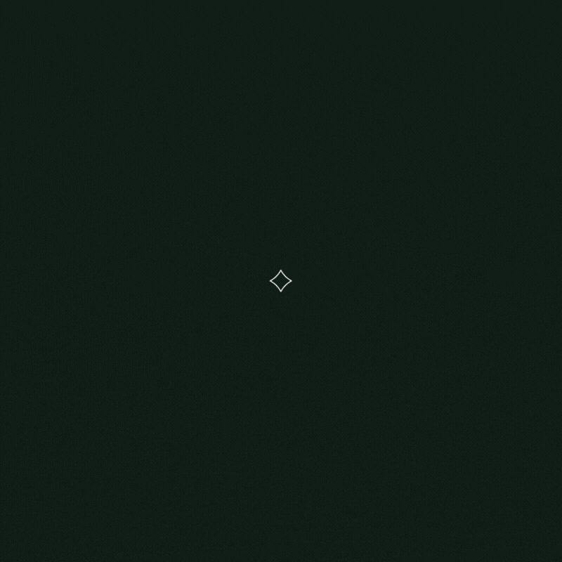 Personal Branding Animation