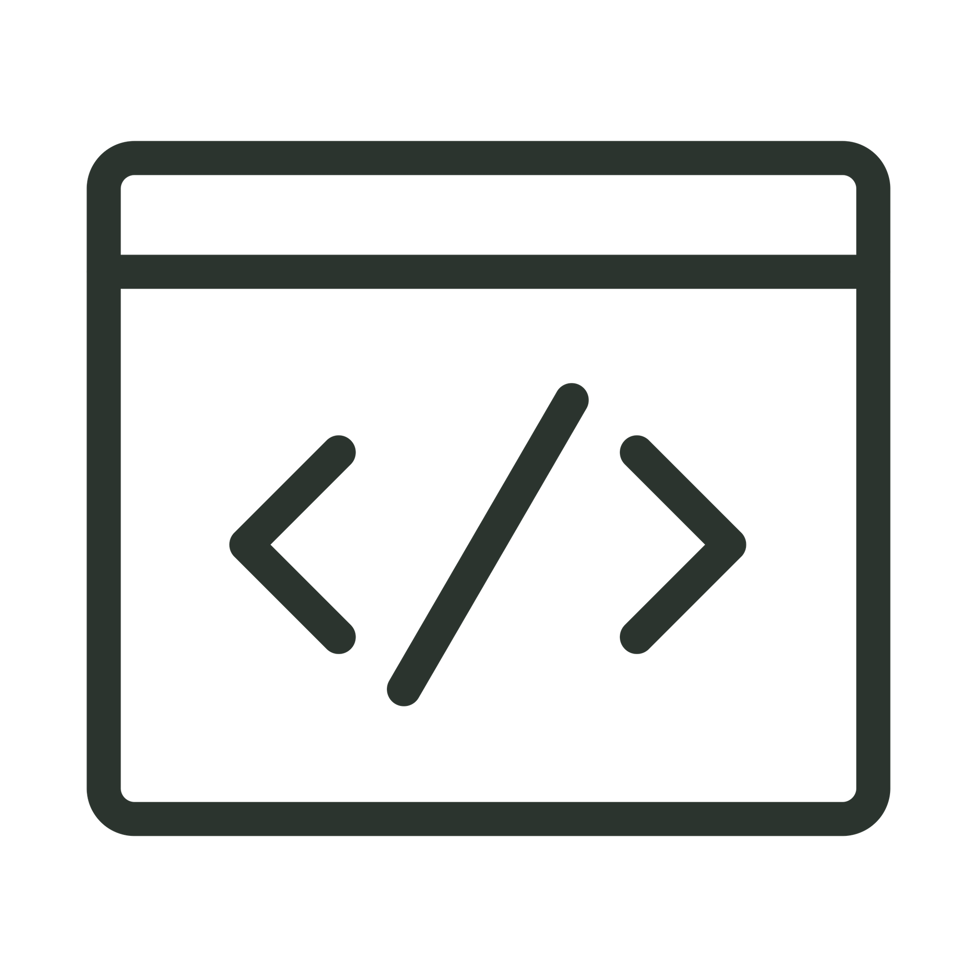 Website Code Customization