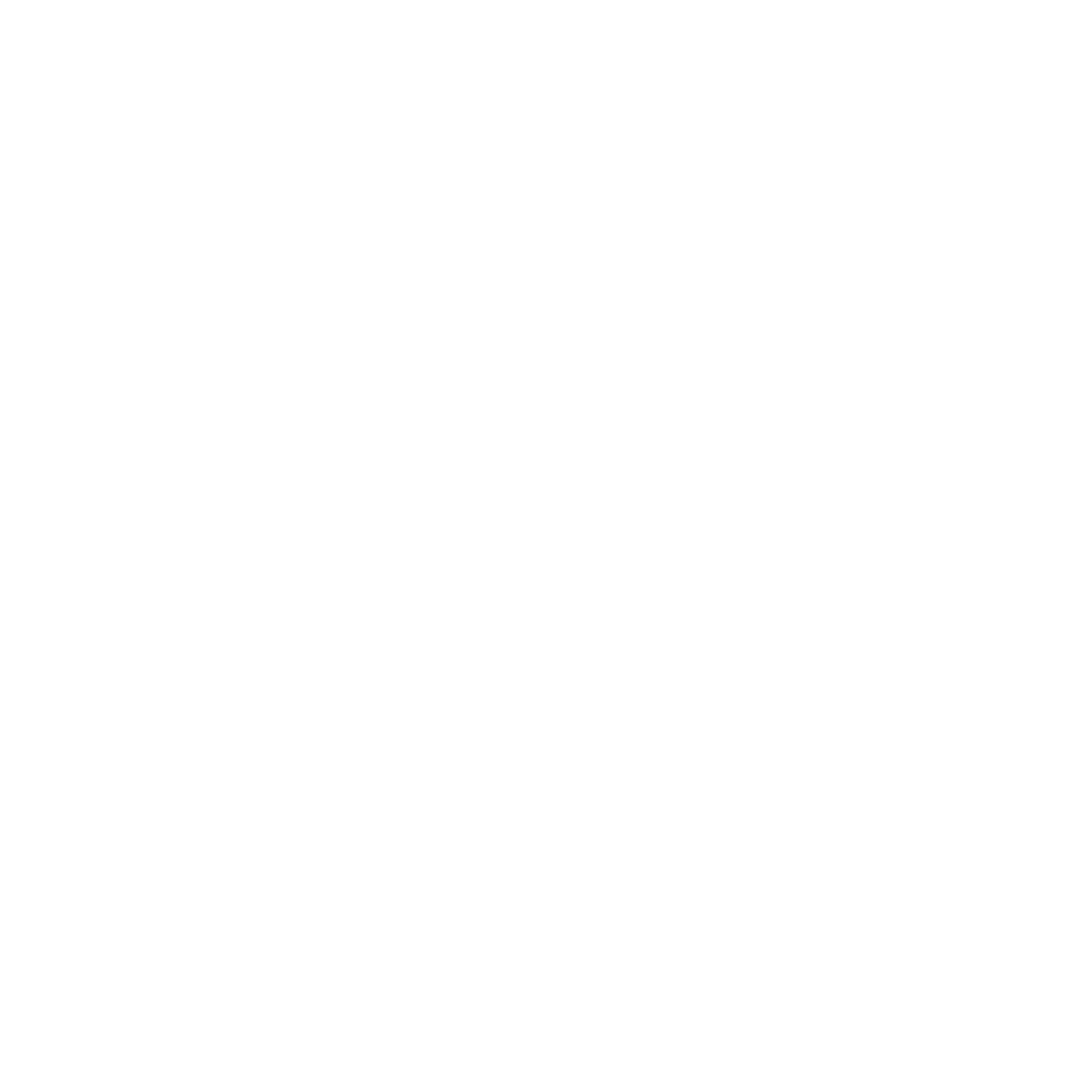 Website Code Customization