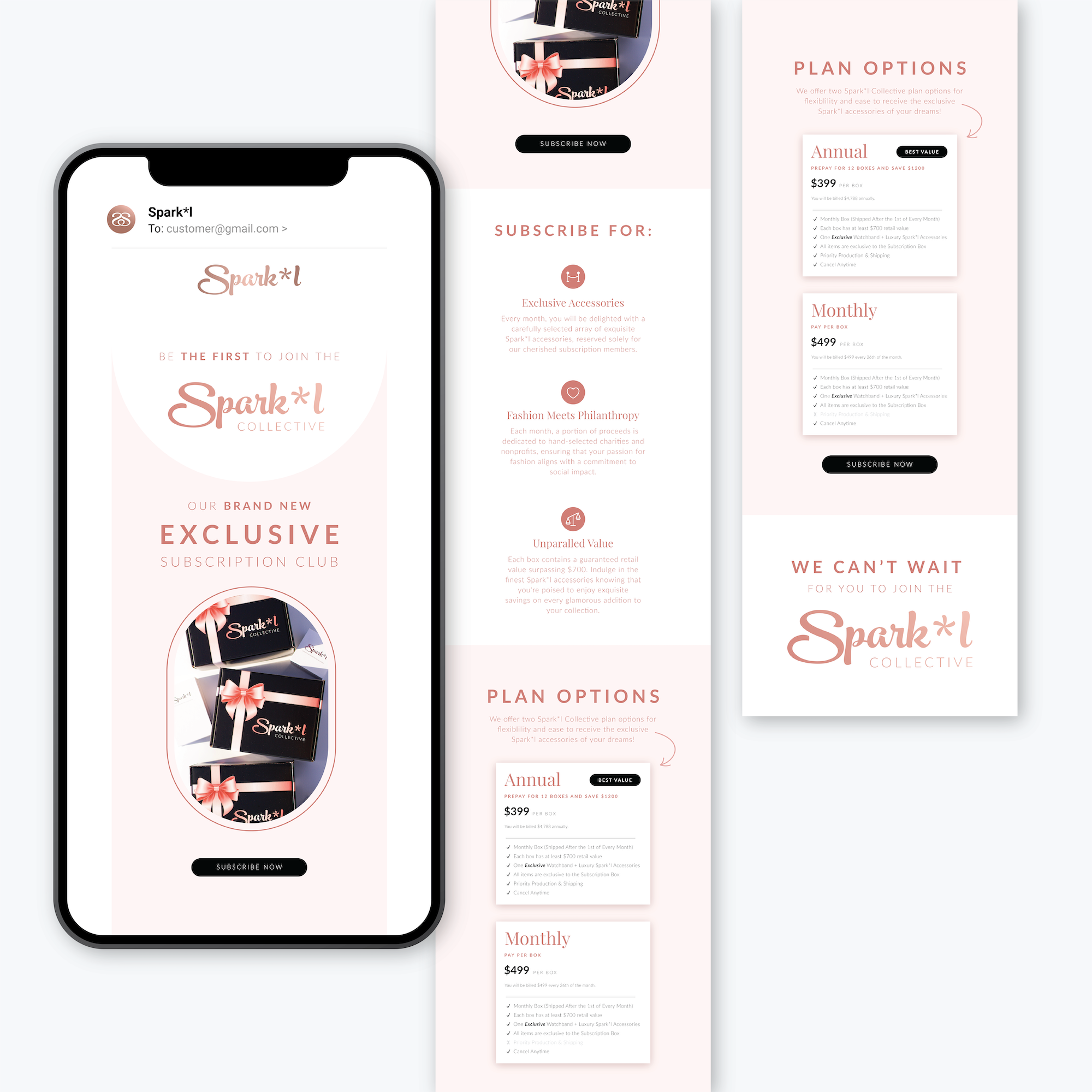 Subscription Launch Newsletter